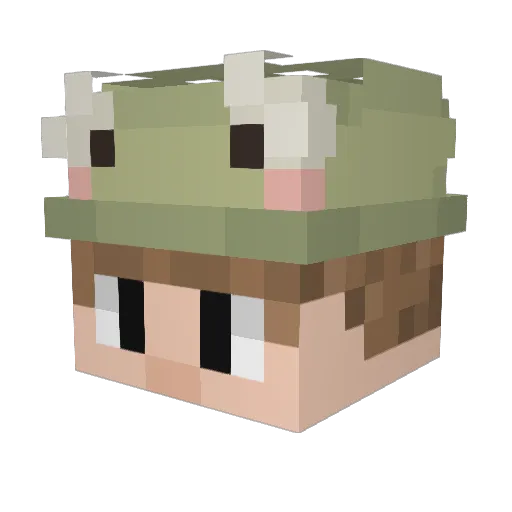 akojacko Minecraft avatar head, 3D render