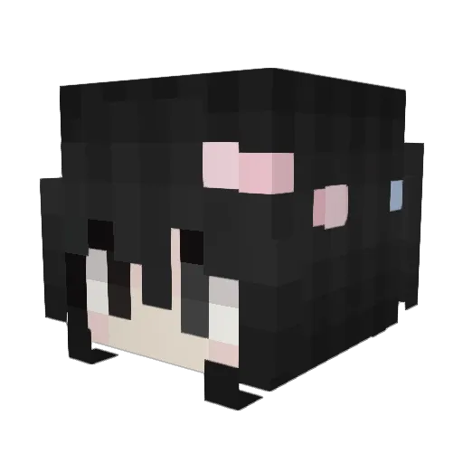 akoq Minecraft avatar head, 3D render