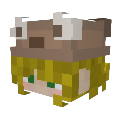 akorn37 Minecraft avatar head, 3D render