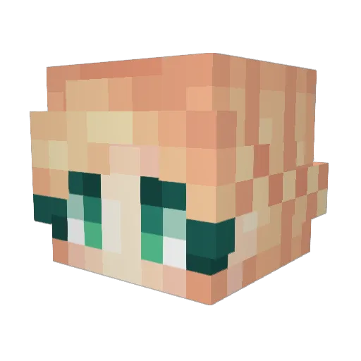 akotaka Minecraft avatar head, 3D render