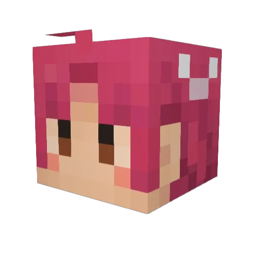 akr315 Minecraft avatar head, 3D render