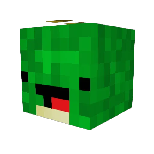 akrd1234 Minecraft avatar head, 3D render
