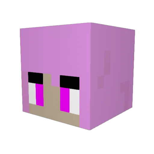 akrtmr Minecraft avatar head, 3D render