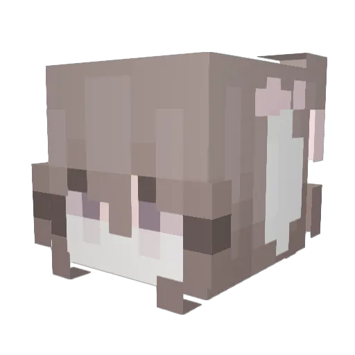 aksaiko Minecraft avatar head, 3D render