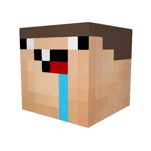 aksel_KS Minecraft avatar head, 3D render