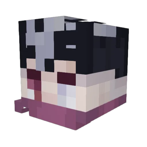 akselotyl Minecraft avatar head, 3D render