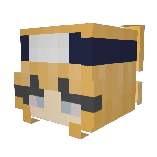 aktJulia_ Minecraft avatar head, 3D render