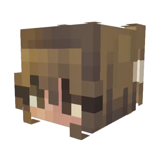 akt_minecraft Minecraft avatar head, 3D render