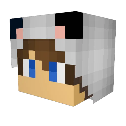 akumarun Minecraft avatar head, 3D render