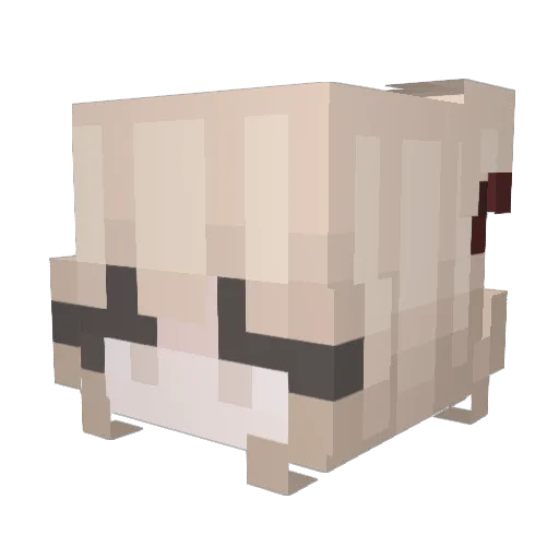 akuqqme Minecraft avatar head, 3D render