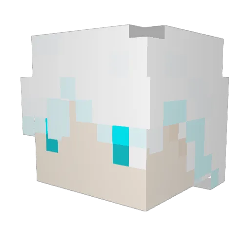 akwj125 Minecraft avatar head, 3D render