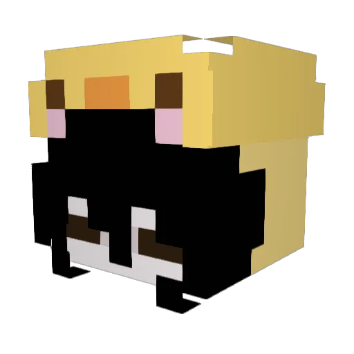 akwp Minecraft avatar head, 3D render