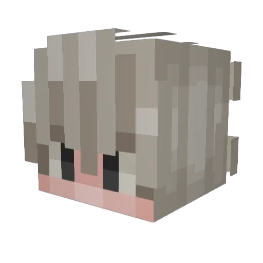 akwqrd Minecraft avatar head, 3D render