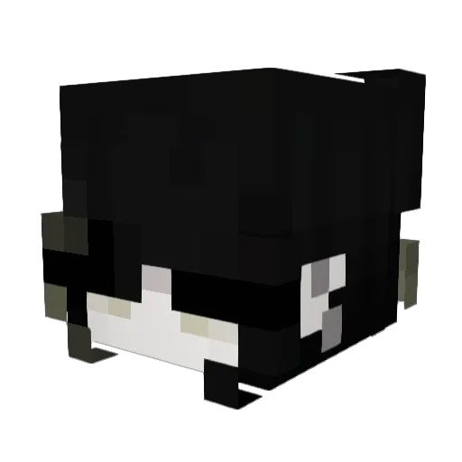 akyary Minecraft avatar head, 3D render