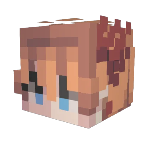 akyoo0 Minecraft avatar head, 3D render