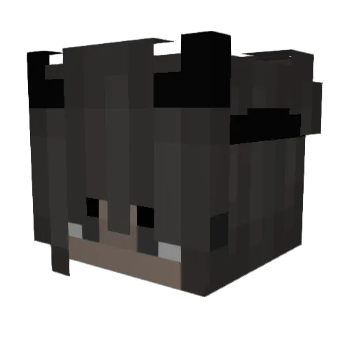 akzeqtable Minecraft avatar head, 3D render
