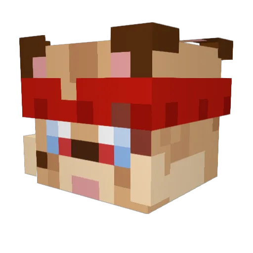 Minecraft-Avatar von al0n1: Kopf als 3D-Render