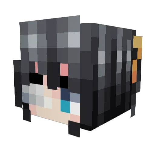 al11n Minecraft avatar head, 3D render