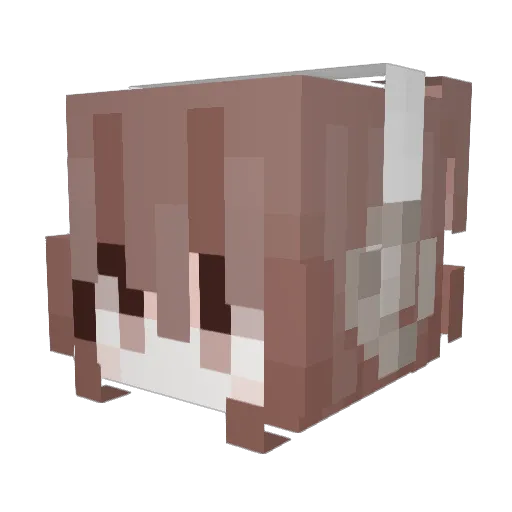 al1nq Minecraft avatar head, 3D render