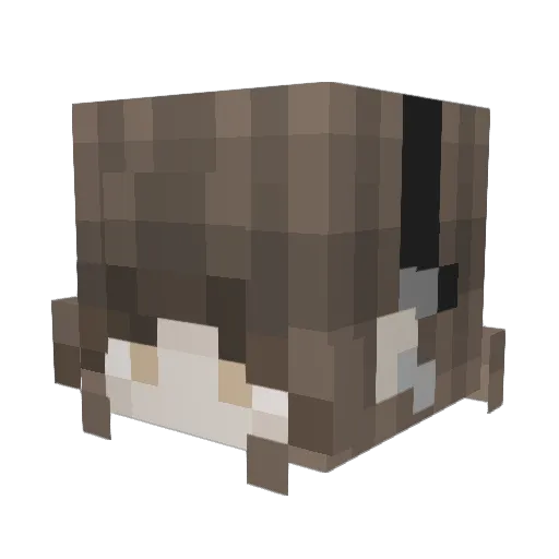 al9na Minecraft avatar head, 3D render