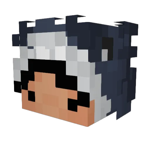 alabamanugget Minecraft avatar head, 3D render