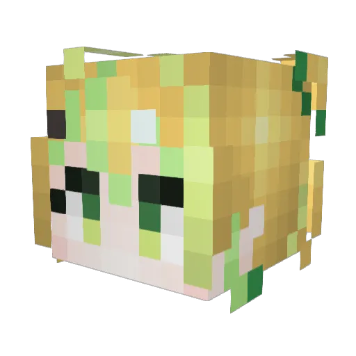 alan0629 Minecraft avatar head, 3D render