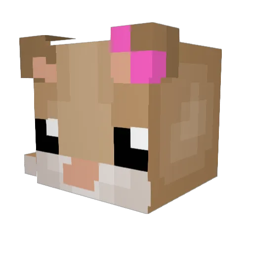 alanasucks123 Minecraft avatar head, 3D render