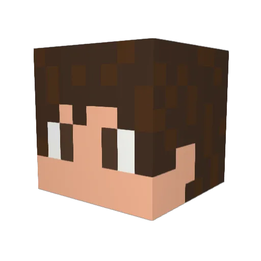 alanesp14 Minecraft avatar head, 3D render