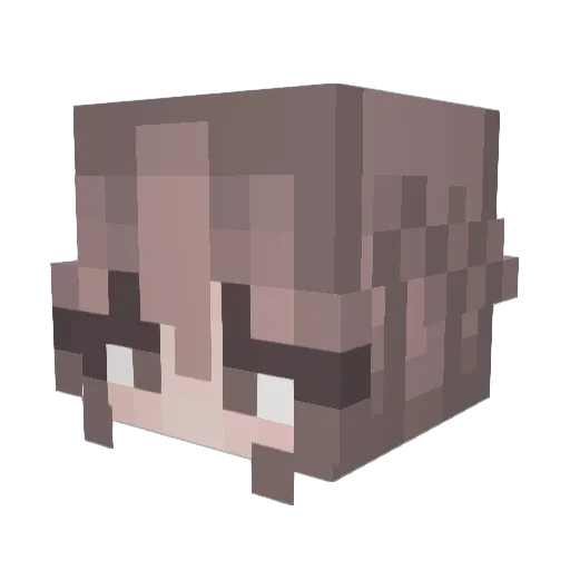 alanna0208 Minecraft avatar head, 3D render