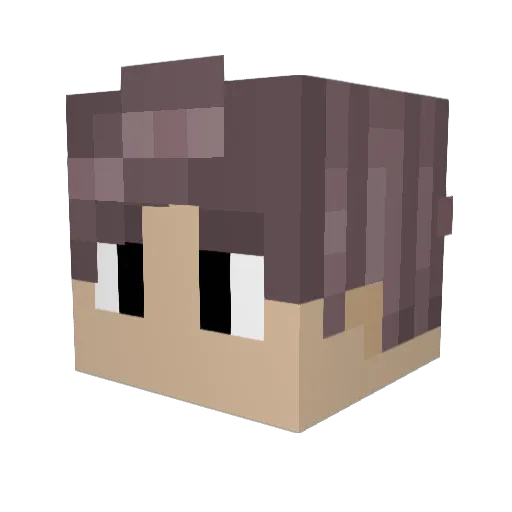 alanpro5021 Minecraft avatar head, 3D render