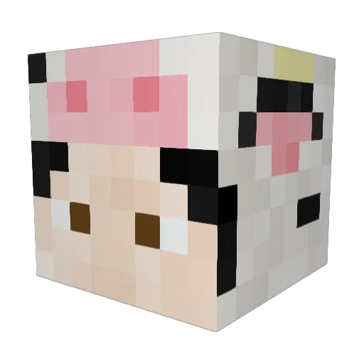 alaynnan802 Minecraft avatar head, 3D render