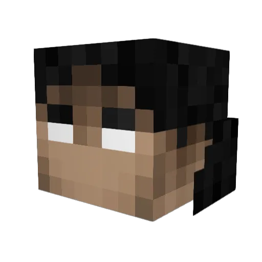 albanskikoks Minecraft avatar head, 3D render