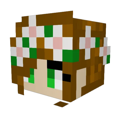 albaskye Minecraft avatar head, 3D render