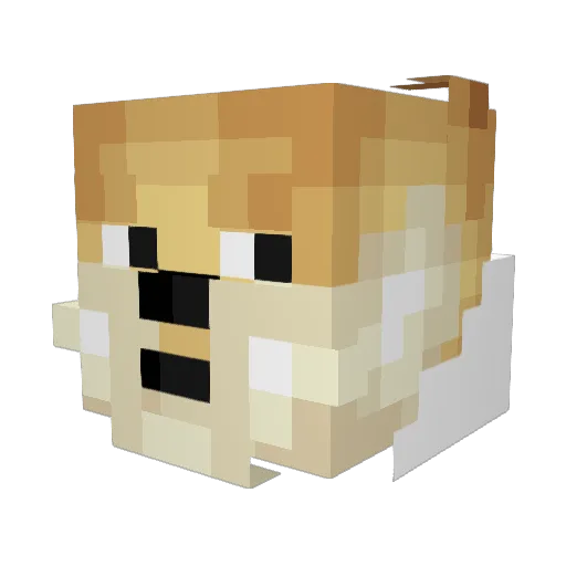 albergon2004 Minecraft avatar head, 3D render