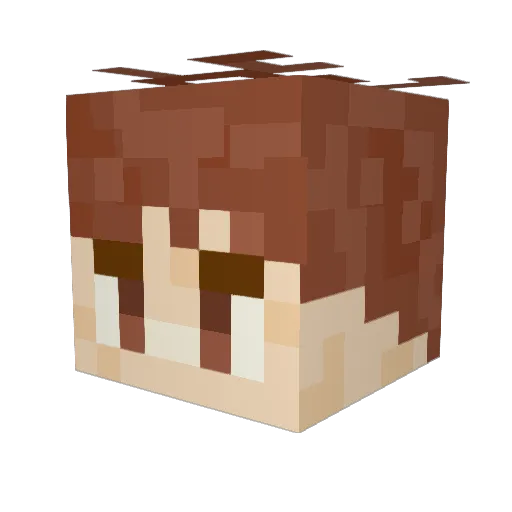 alby14 Minecraft avatar head, 3D render