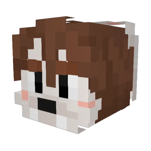 alcat912 Minecraft avatar head, 3D render