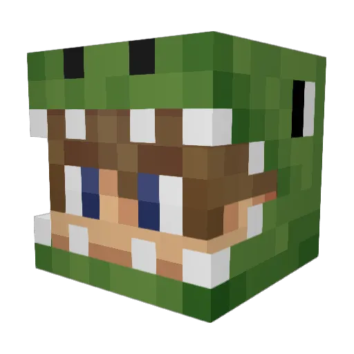 alec9990 Minecraft avatar head, 3D render
