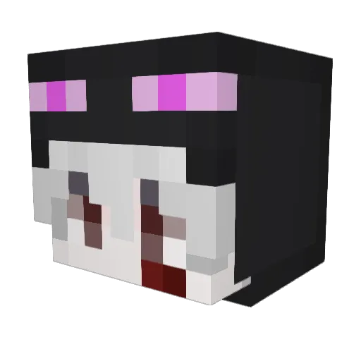 aleewy Minecraft avatar head, 3D render