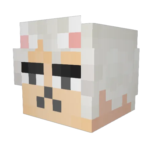 alenenwooptv Minecraft avatar head, 3D render