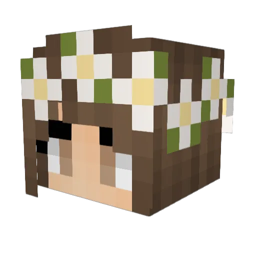 alex121D Minecraft avatar head, 3D render