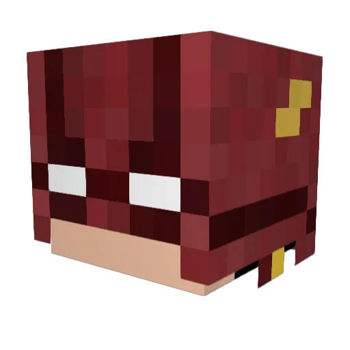 alex_21214 Minecraft avatar head, 3D render