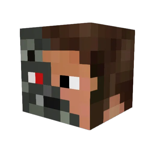 alex_callofduty Minecraft avatar head, 3D render
