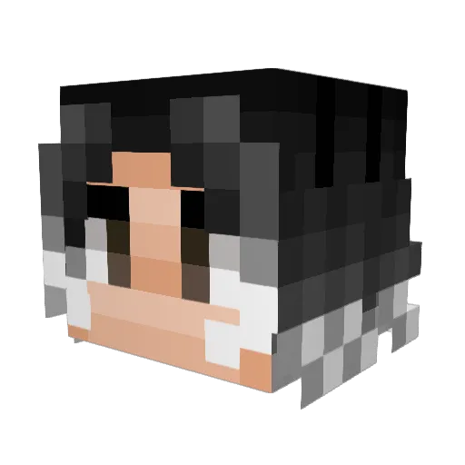 alex_vsr Minecraft avatar head, 3D render
