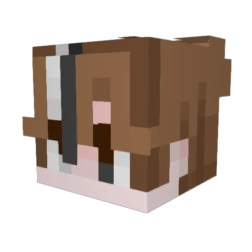 alexandrr_ Minecraft avatar head, 3D render