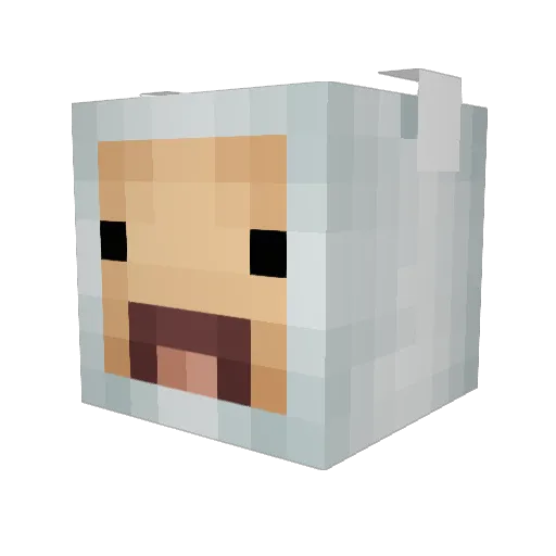 alexcanosantano Minecraft avatar head, 3D render