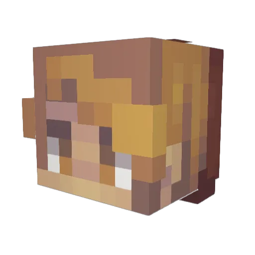 alexhesse Minecraft avatar head, 3D render