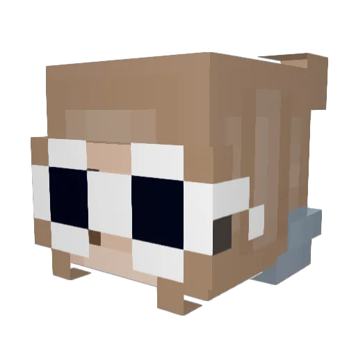 alexisann59 Minecraft avatar head, 3D render