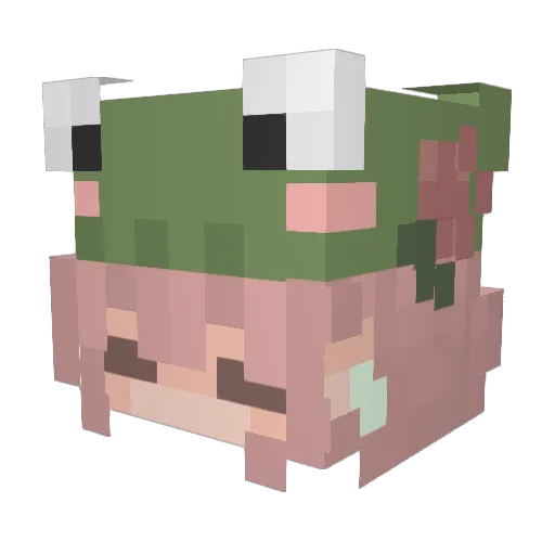 alexlexi05 Minecraft avatar head, 3D render