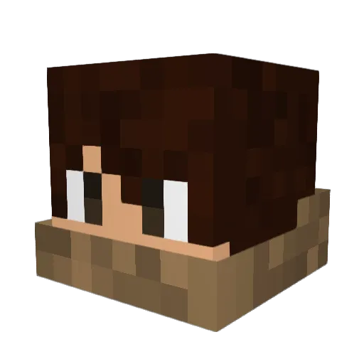 alexpalex2005 Minecraft avatar head, 3D render