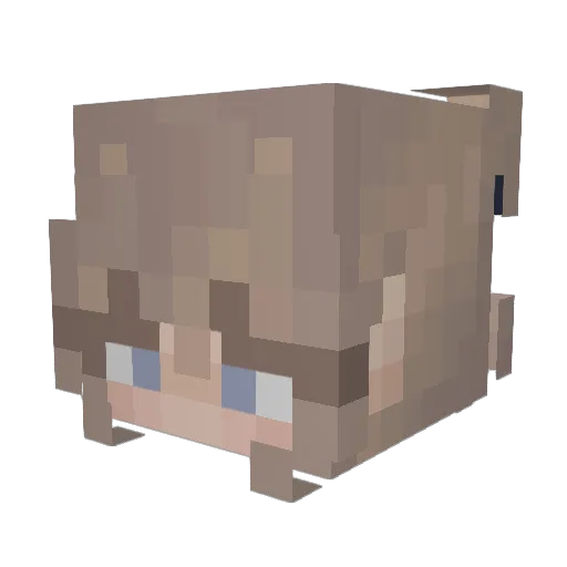 alexrailey Minecraft avatar head, 3D render